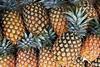 pineapples