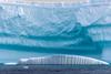Ice_Cap