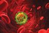 Red_Blood_Cells