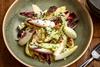 chicory_salad