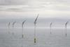 wind farm