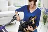 Dyson groom tool