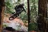The new Stumpjumper