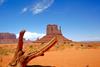 Monument Valley