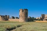 Flint Castle