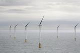 wind farm