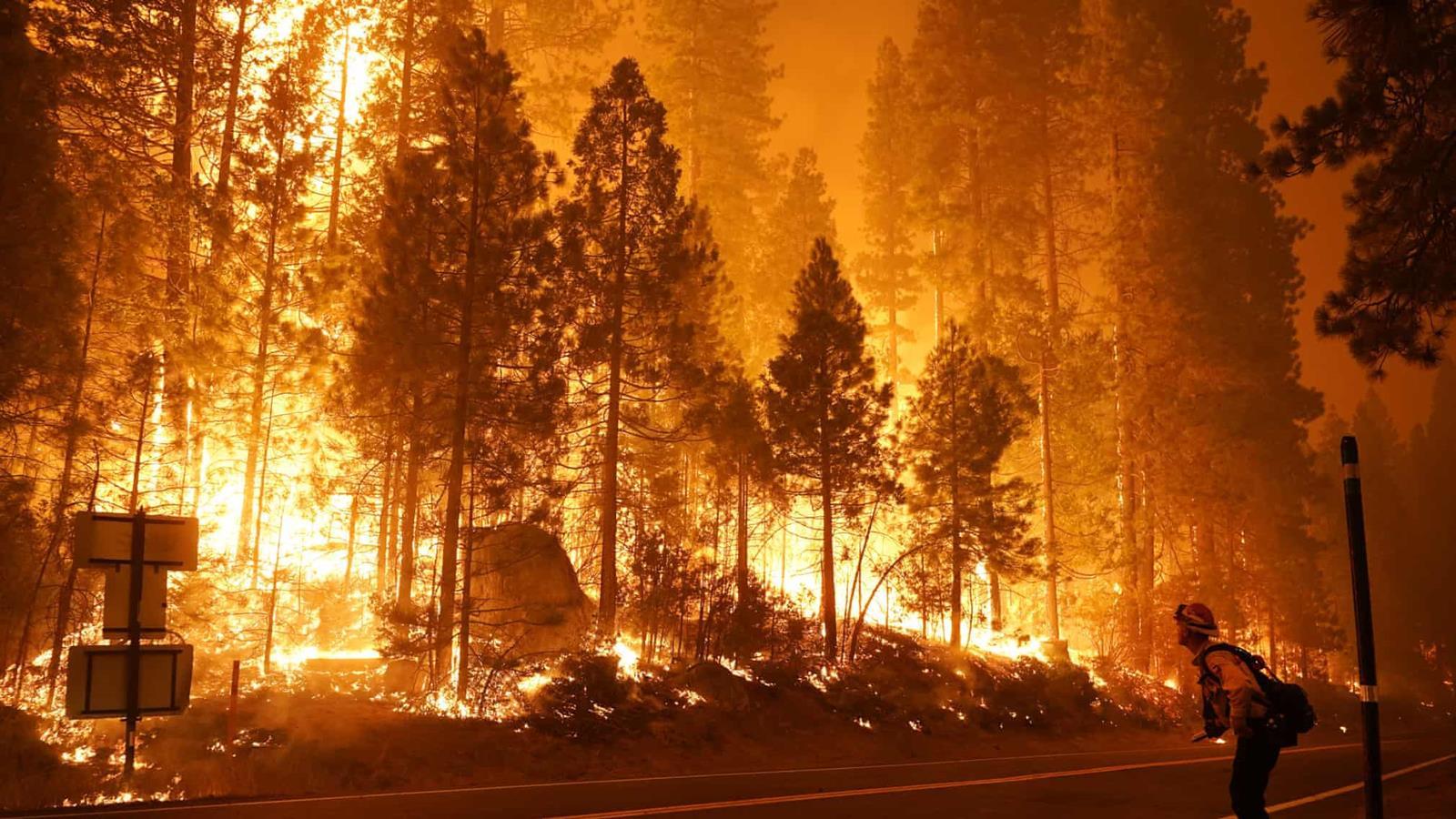California wildfires longform article 10