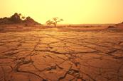 desert2
