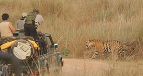 pench-national-park3