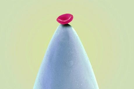 Blood cell