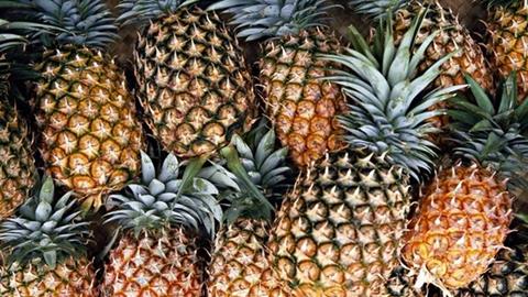 pineapples