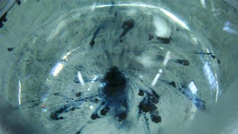 Solvated electrons