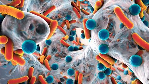 Bacteria resistance