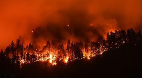 California wildfires longform article 15