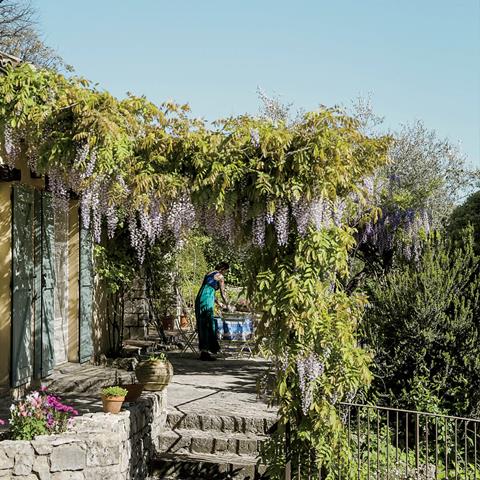 julia-child-arbor